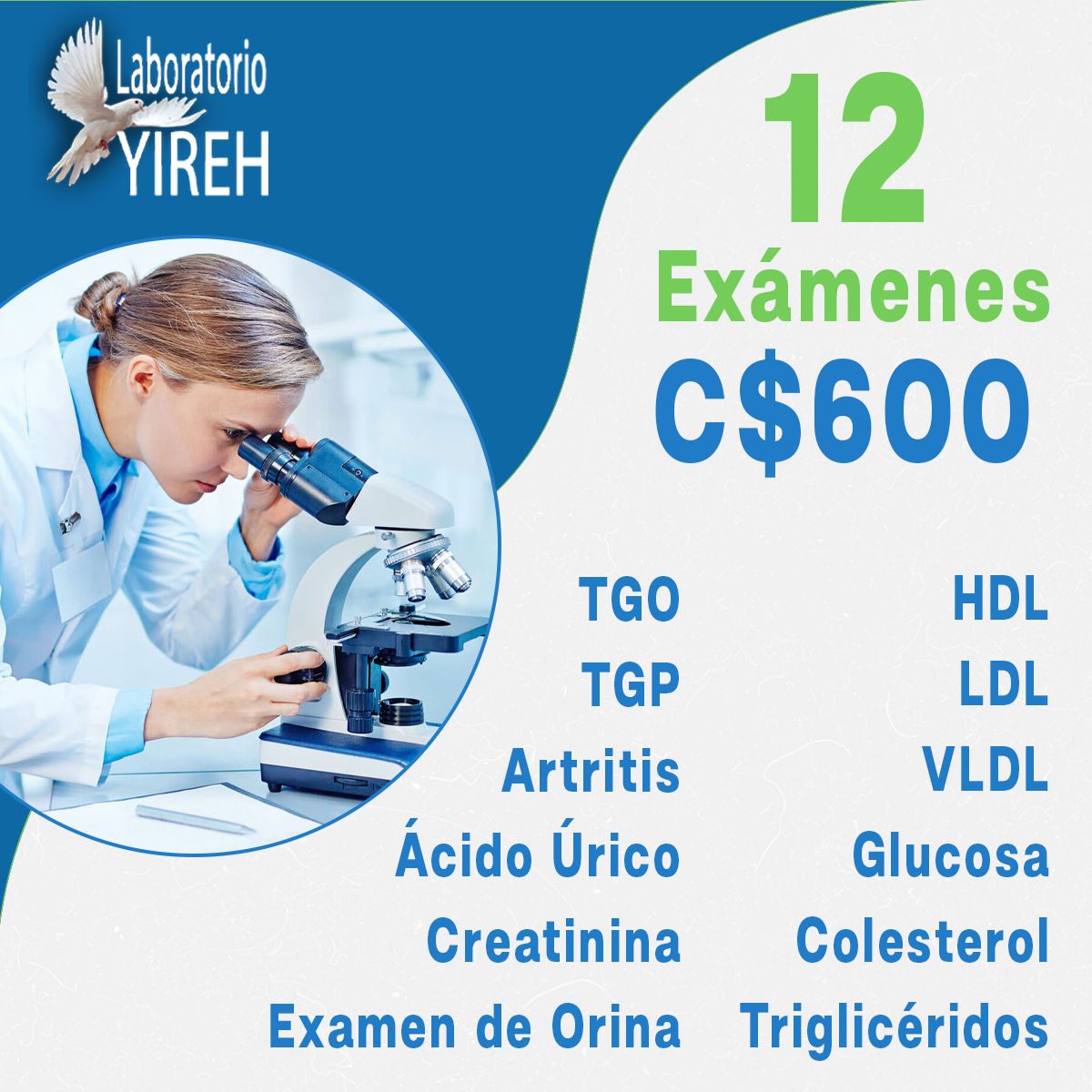 promocion